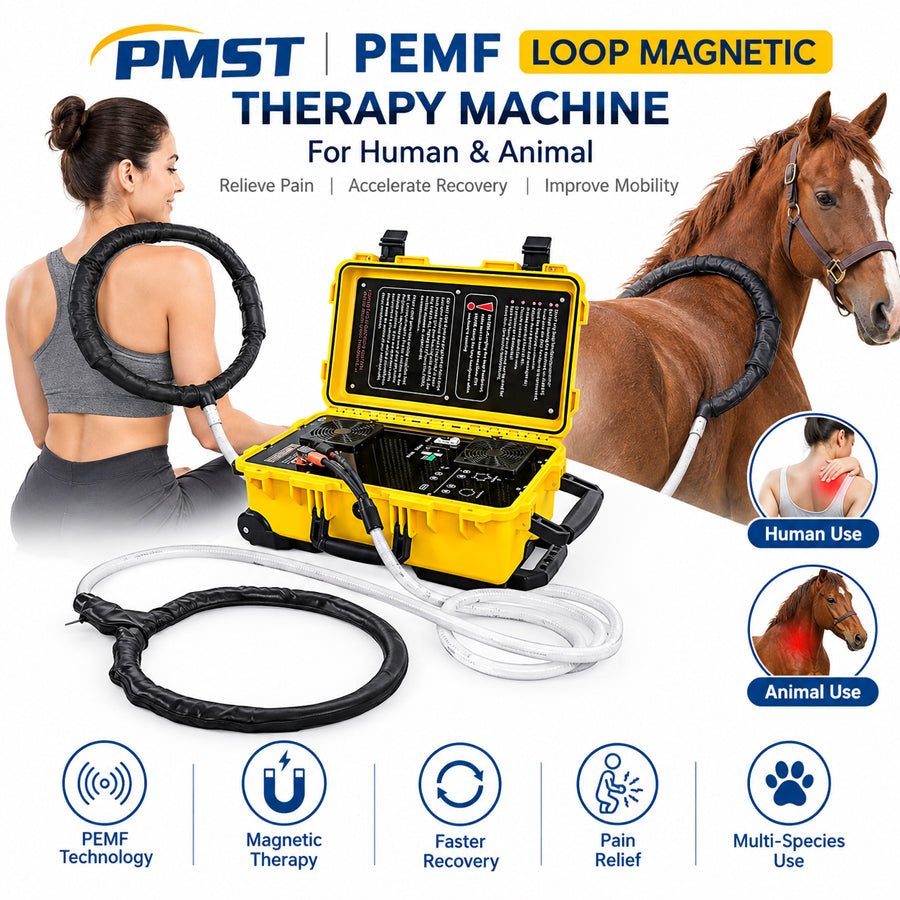 PMST Loop PEMF Magnetic Therapy Machine: How It Supports Human and Animal Recovery - Huanshibeauty