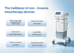 Non-invasive Needle Free Mesotherapy Device-VIP Exclusive