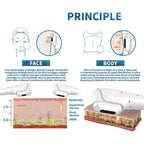 2 In 1 Hifu 7D RF Fractional Microneedle Skin Tightening Anti Wrinkle Stretch Marks Removal Machine