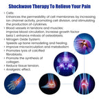 Electromagnetic Shockwave Therapy Machine for Pain Relief and Muscle Recovery